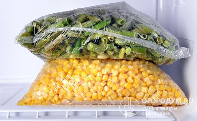 Замораживать вареную кукурузу предпочтительнее в зернах – это удобнее и экономичнее. Разделите подготовленный продукт порционно по пакетам и сложите в морозилку вместе с другими овощами. Добавляйте кукурузу в блюда в замороженном виде