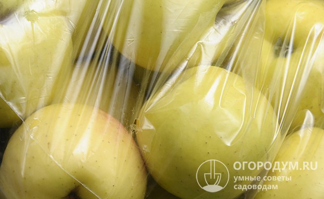 Хранить яблоки в погребе или подвале можно в плотных полиэтиленовых пакетах на полках стеллажей