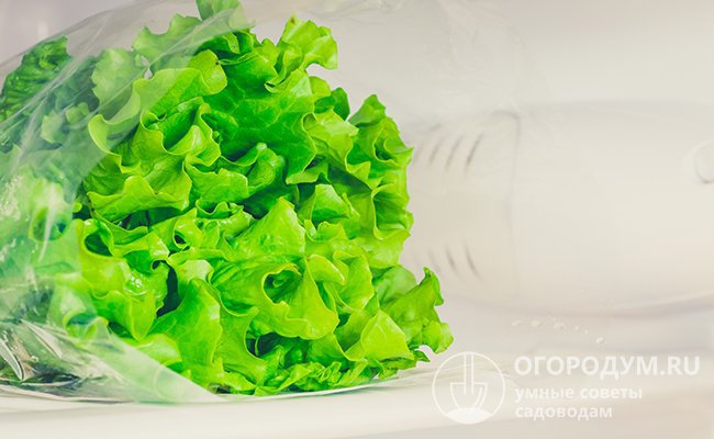 В холодильнике салат может оставаться свежим до 2 недель