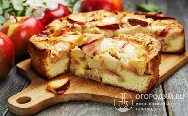 Яблоки сорта «Орлик» имеют десертное (универсальное) назначение – идеально подходят для употребления в свежем виде, консервирования и кулинарии