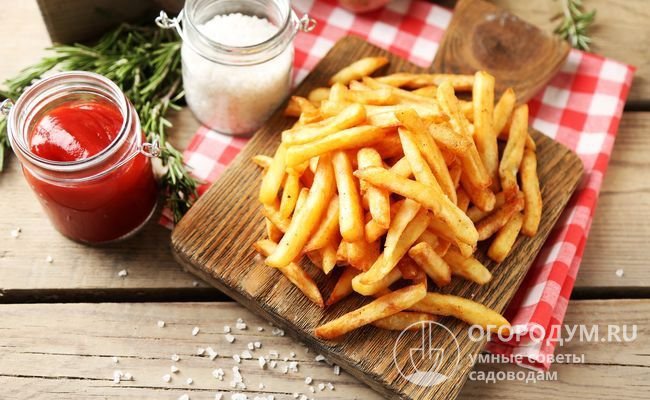 «Красавчик» считается одним из лучших для промышленной переработки – производства картофеля фри и сухого пюре