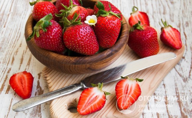 В основном сборе ягоды преимущественно средних размеров, массой 9-12 г