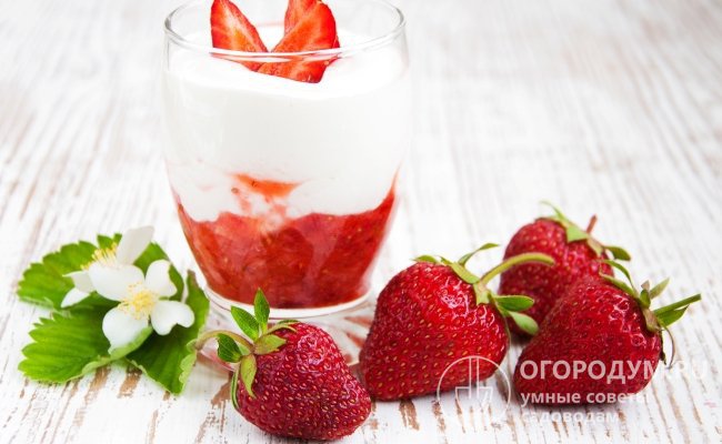 Цвет и аромат не утрачиваются в процессе обработки, поэтому ягоды используют для приготовления пюре, йогуртов, варенья и других зимних заготовок