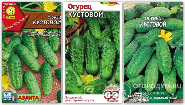 Упаковки семян огурцов сорта «Кустовой» разных производителей
