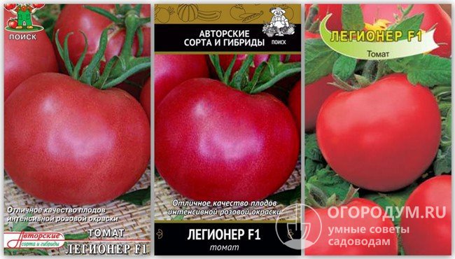 Упаковки семян томатов гибрида «Легионер F1» разных производителей
