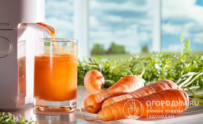 Морковь рассматриваемого сорта – одна из наиболее продуктивных по выходу свежего сока: 546 мл с 1 кг плодов (для сравнения: средний показатель – около 400 мл)