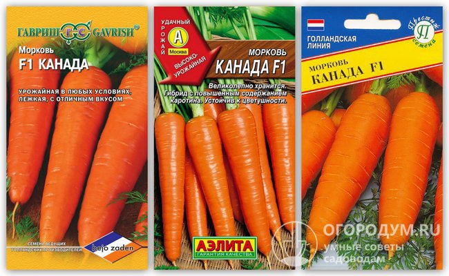 На фото – упаковки с семенами гибридного сорта моркови «Канада F1» различных производителей