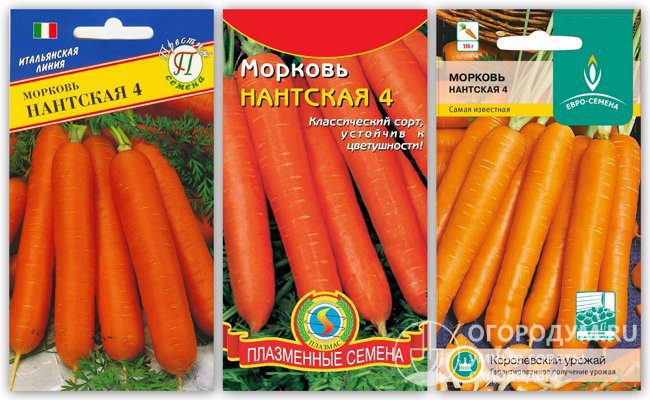 На фото – упаковки с семенами сорта моркови «Нантская 4» различных производителей