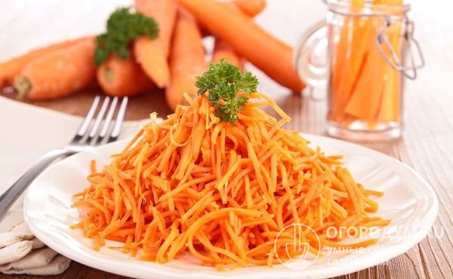 Морковь сорта «Самсон» имеет насыщенный красно-оранжевый цвет, подходит для употребления в пищу в сыром виде и для любых способов переработки