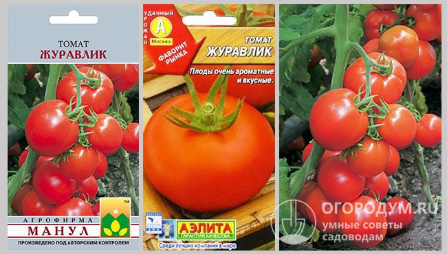 Семена в упаковках различных производителей и фото спелых томатов сорта «Журавлик»