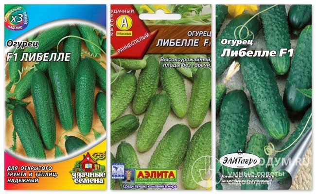 На фото – упаковки семян гибридного сорта огурцов «Либелле F1» различных производителей
