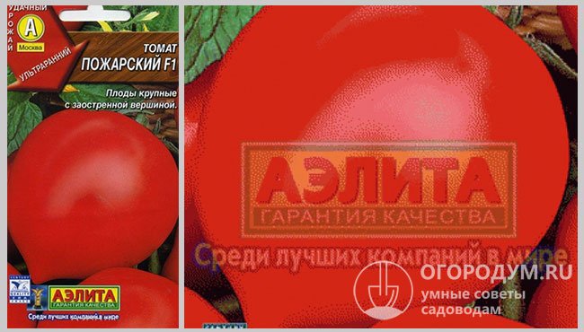 Упаковки с семенами томатов гибрида «Пожарский F1» производителя «Аэлита»