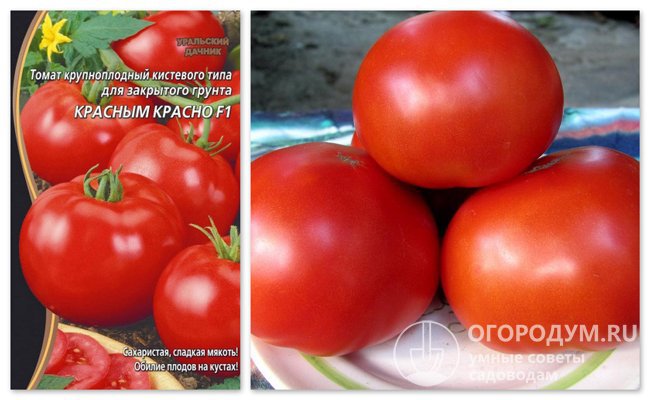 Упаковка семян гибрида «Красным красно F1» и фотография помидоров этого сорта