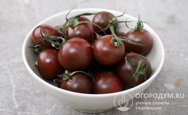 Черноплодные сорта есть во всех группах томатов