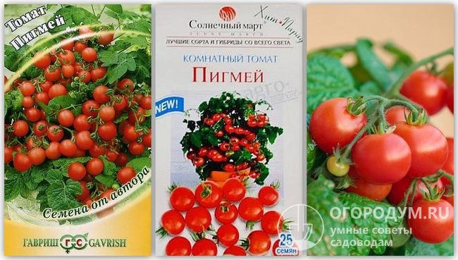 Упаковки семян «Пигмей» разных производителей и фотография помидоров этого сорта