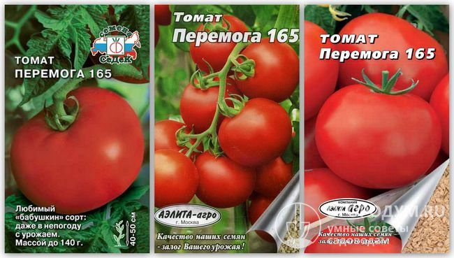 Упаковки семян томатов сорта «Перемога 165» разных производителей