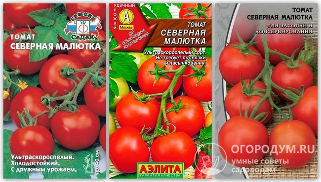Упаковки семян томатов сорта «Северная малютка» разных производителей