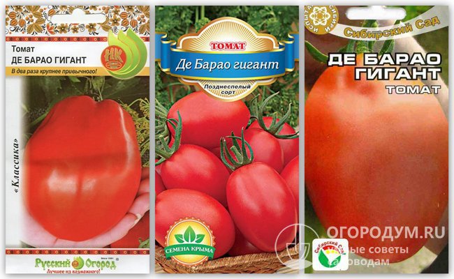 Упаковки семян томата разных производителей