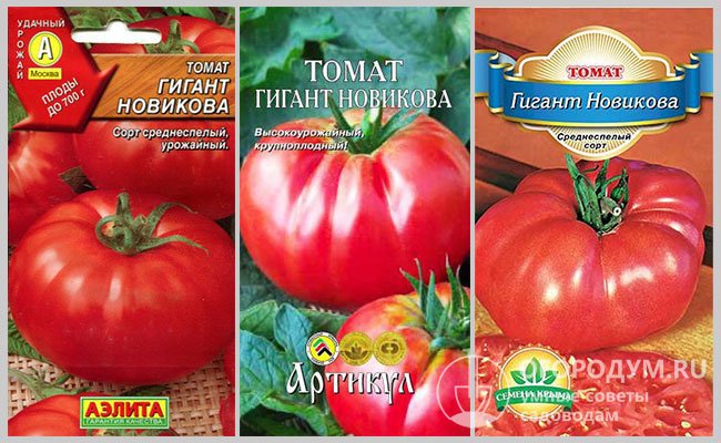 Производством и реализацией семян томатов сорта «Гигант Новикова» занимаются многие агрофирмы