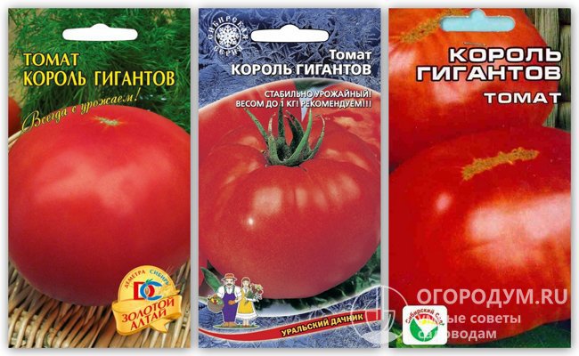 Упаковки семян томата «Король гигантов» разных производителей