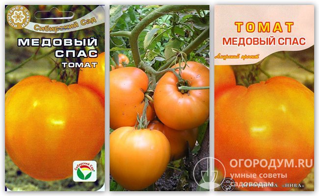 Упаковки семян разных производителей и фотография помидоров этого сорта