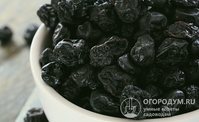 Высушенная черная смородина максимально сохраняет свои вкусовые качества и полезные свойства