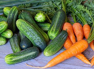 Огурцы с морковной ботвой: рецепты на литровую банку