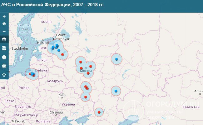 На фото – текущая ситуация по АЧС в России (статистика из официального источника)