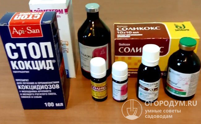 Различные препараты, предназначенные для лечения кокцидиоза у кролей