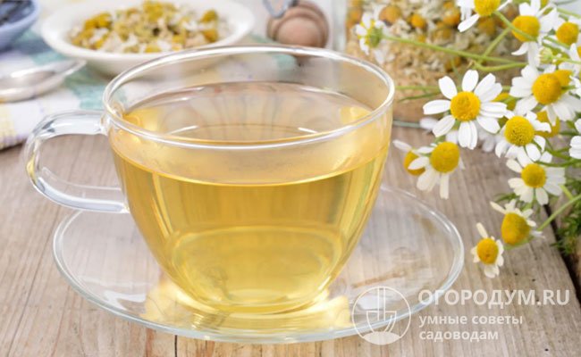 Ромашковый чай имеет желтоватый цвет, приятный вкус и аромат