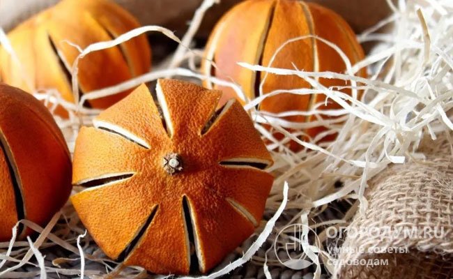 При подготовке цельных апельсинов к сушке плоды визуально делят на дольки и надрезают кожуру, не касаясь мякоти
