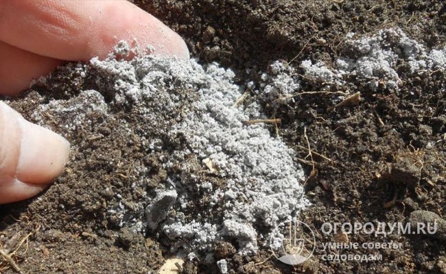 Минеральное удобрение органического происхождения помогает нейтрализовать излишнюю кислотность почвы. Для огурцов оптимальный pH – на уровне 6,2-6,8