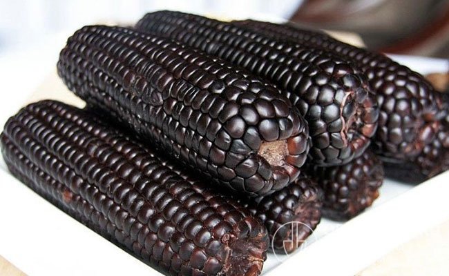 На фото – початки черной восковой кукурузы (Black Waxy Corn)