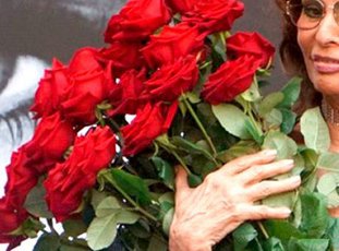 Роза «Софи Лорен»: описание сорта, фото и отзывы
