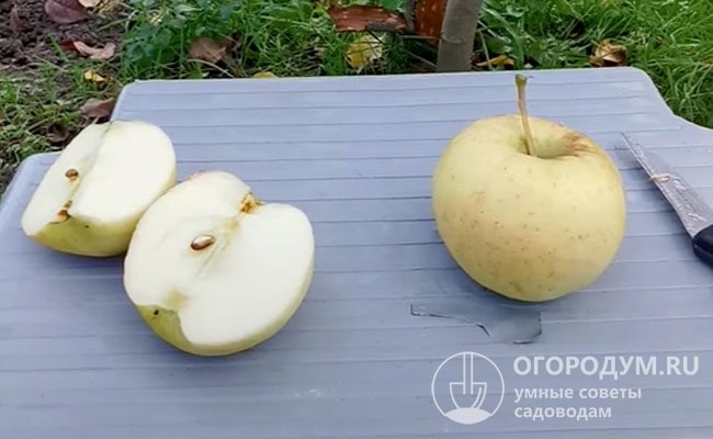 Вкусовые качества и биохимический состав плодов зависят от погодно-климатических факторов, сроков съема и применяемой агротехники