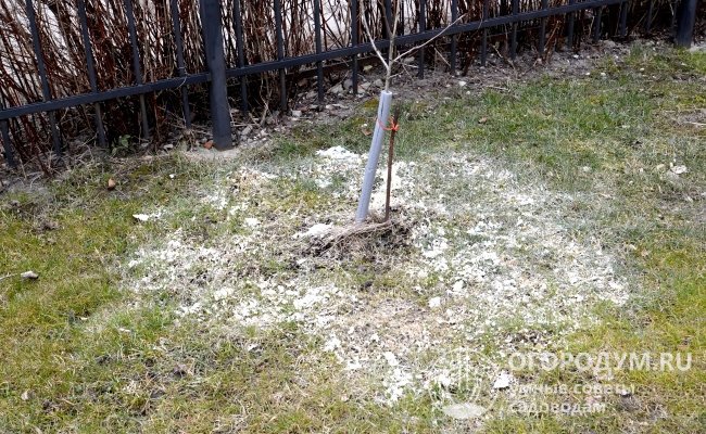 Использование доломитовой муки позволяет снизить кислотность почвы