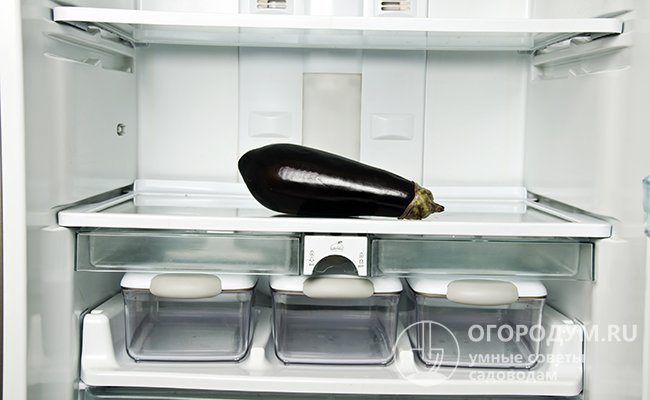 При хранении баклажанов в холодильнике ограничьте их контакт с другими овощами или фруктами. Это убережет продукцию от быстрой порчи и гниения