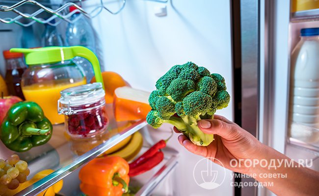 Брокколи можно сохранить свежей в холодильнике от 3 дней до 1,5 месяца