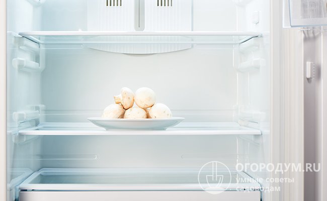 Оптимальный срок хранения свежих грибов в холодильнике – не более 3 суток