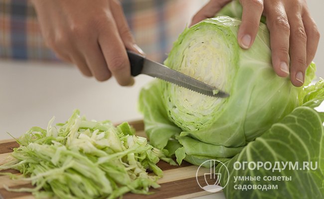 Чтобы сэкономить время во время готовки, сделайте заготовки: мелко нашинкуйте капусту и заморозьте ее порционно
