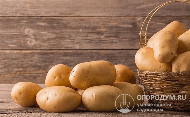 В условиях городской квартиры хранить картофель можно под раковиной в плетеной корзине, деревянном или пластиковом ящике. Также организовать хранение можно на балконе, лоджии или в коридоре подъезда