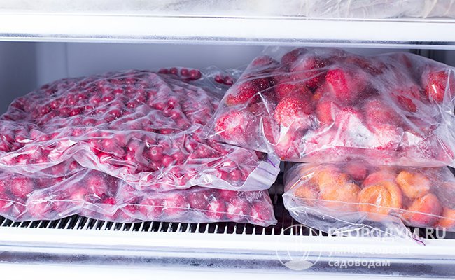В морозилке ягоды могут пролежать около 1 года без потери вкусовых качеств