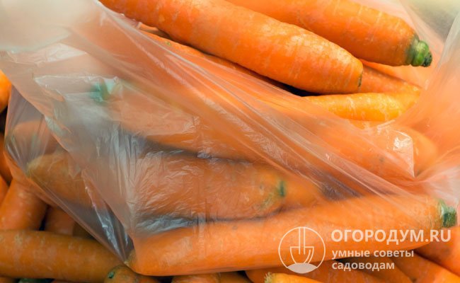 В погребе можно хранить морковь в полиэтиленовых пакетах, но будьте готовы к тому, что такой урожай на долго не сохранится