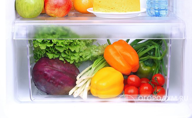 Оптимальное место для хранения зелени – отделение для овощей в холодильнике