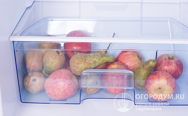 Хранить яблоки можно в холодильнике: в специальном отсеке для овощей и фруктов или у задней (наиболее холодной) стенки