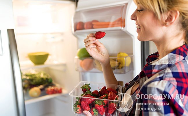 Клубнику (а правильнее сказать, землянику) можно сохранить свежей в холодильнике в течение нескольких дней