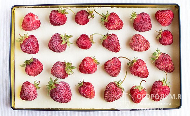Чтобы ягоды не смерзлись, вначале заморозьте каждую отдельно