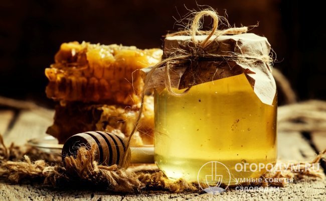 Использование меда и побочных продуктов пчеловодства в лекарственных целях выделено в отдельную область – апитерапию