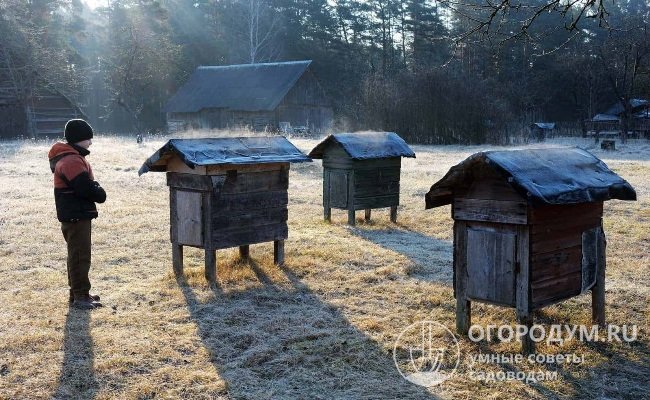 Перед началом весны пчеловоды приступают к проведению подготовительных работ