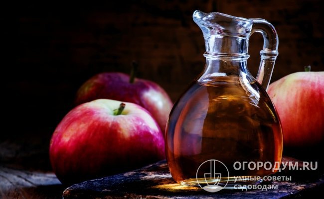 Плоды востребованы в промышленном производстве соков, сидра и другой яблочной продукции